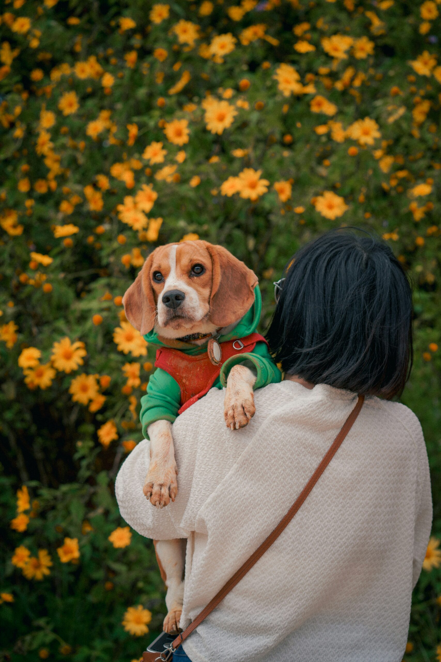 You are currently viewing The Importance of Pets in Children’s Lives: Lessons in Love and Loss