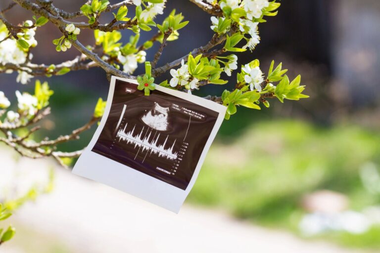 Read more about the article Navigating Pregnancy Loss: A Guide for Families